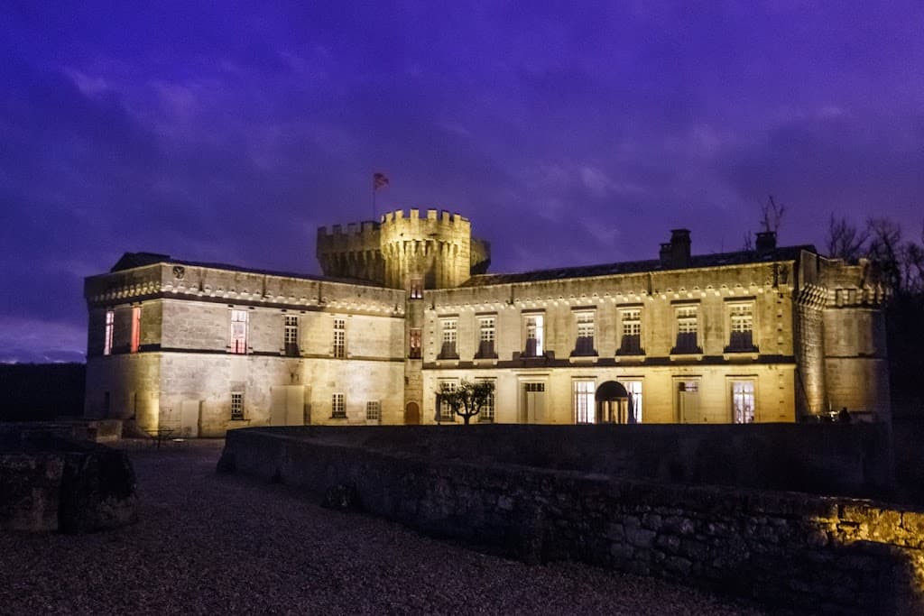 CHATEAU DE LA TRANCHADE