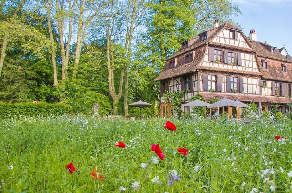 Du côté de chez Anne - Domaine de Mariage & Maison d'hôte