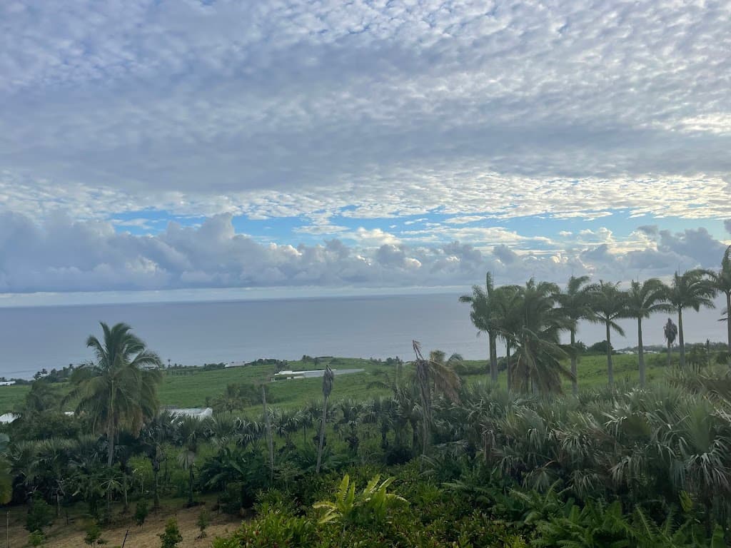 Domaine des Mille cocos