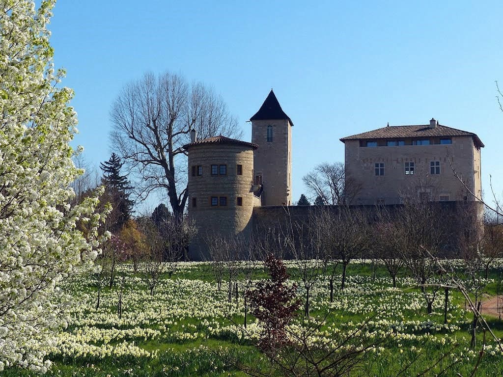 Château de Saint Bernard