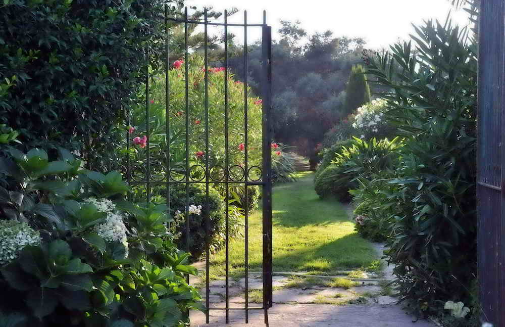 Le Domaine de Vignale