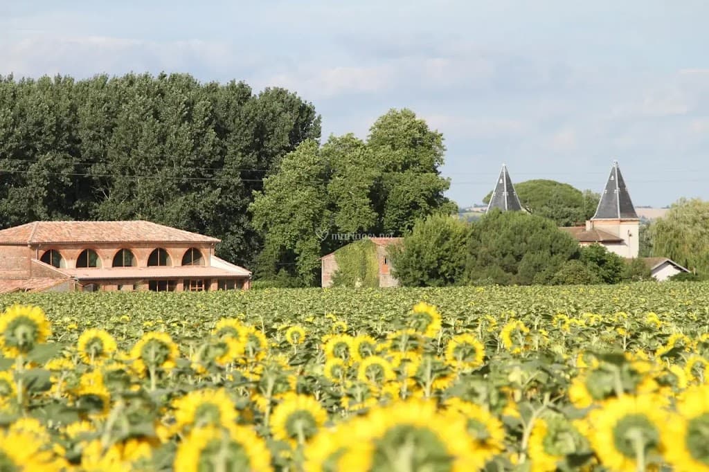 Chateau de Mousens